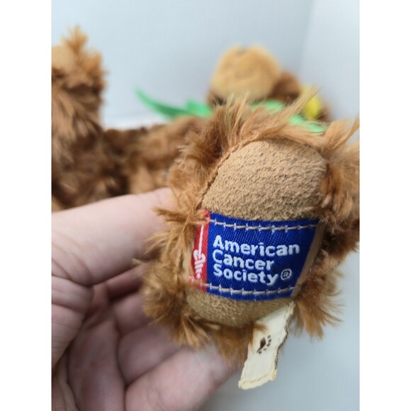 ENESCO Boyds Bears PLUSH SHAR N HOPE 2012 American Cancer Society DAFFODIL DAYS - Picture 3 of 7